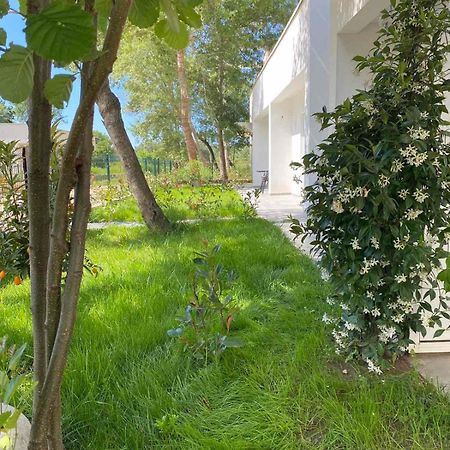 Villa Hanna อุลซิน ภายนอก รูปภาพ
